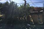 Rumah Lama Cocok Untuk Ruko dan Kos an Dekat UIN