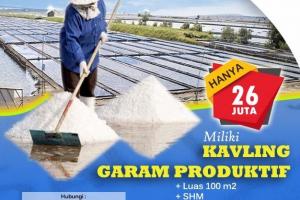  Beli Kavling Garam 100 m dapat Passive Income