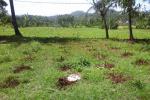 DIJUAL TANAH DI KAMPUNG KEBON JERUK SUKABUMI
