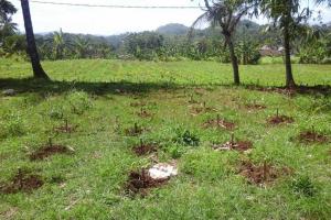 DIJUAL TANAH DI KAMPUNG KEBON JERUK SUKABUMI