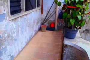Rumah dijual di Pademangan Timur / pademangan 