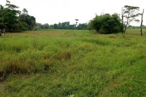 Tanah 60 Ha di Bantar Panjang Tigaraksa untuk Perumahan atau Pergudangan