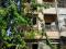 Dijual Rumah di Jembatan Lima