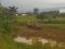 Dijual Tanah Jalak Harupat