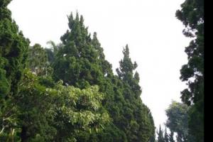 Dijual Tanah Cipaku Indah 