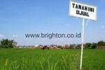 Tanah Tegalalang Ubud Bali