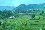 Dijual Tanah Soreang