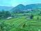 Dijual Tanah Soreang