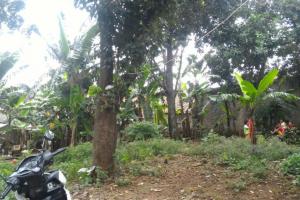 Tanah kosong harga murah jarang ada di gandul cinere