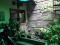 Dijual Rumah Taman Holis Indah 1