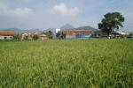 Dijual Tanah Cantilan 