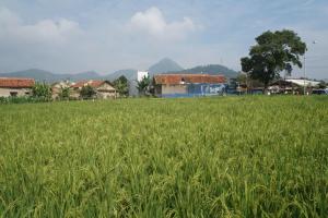 Dijual Tanah Cantilan 