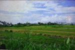 Dijual Tanah Bali