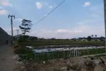 Dijual Tanah Mahmud