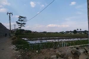 Dijual Tanah Mahmud