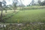 Dijual Tanah Singaparna
