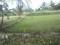 Dijual Tanah Singaparna
