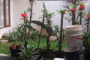 Dijual Rumah Taman Kopo Indah 3