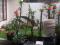 Dijual Rumah Taman Kopo Indah 3