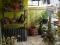 Dijual Rumah Bumi Asri