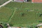 Dijual Tanah Parongpong