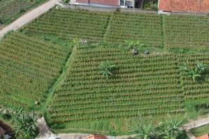 Dijual Tanah Parongpong