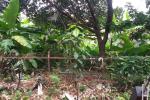 Kavling LT 300 (15x20) Blok J, Megapolitan Cinere Estate