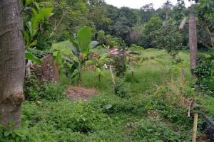 Tanah kavling siap bangun di Kulibul Tibubeneng