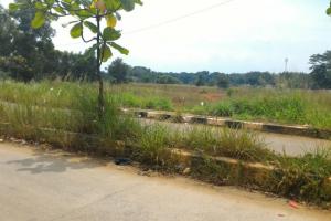 Tanah bagus untuk perumahan besar view danau