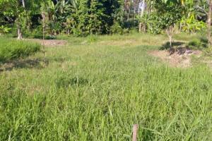 Tanah kavling murah di Tumbak Bayuh Badung Bali