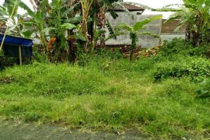 Jual tanah global siap bangun di Padang Bali Dalung