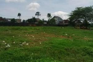 Tanah luas 13 are di Tandeg Berawa Canggu Kuta Utara