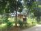 Tanah bagus untuk perumahan di depok