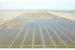 Aset Produktif Kavling Garam