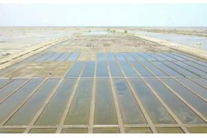 Aset Produktif Kavling Garam