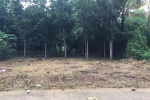 Tanah Dekat Stasiun KRL Daerah Cicayur(HARUS CASH)