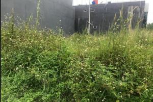 Tanah Kavling Siap Bangun di Sentul Bogor 
