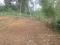 Tanah Dibawah Kaki Gunung Daerah Sukabumi