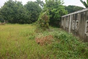 Tanah Kavling Dijual murah dan Lokasi Strategis di Krukut Depok 