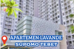 Dijual Apartemen Lavande Tebet 3BR+Maid Furnished Unit Siap Huni