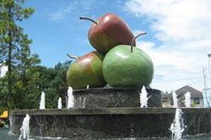 Batu